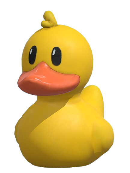 Duck Item